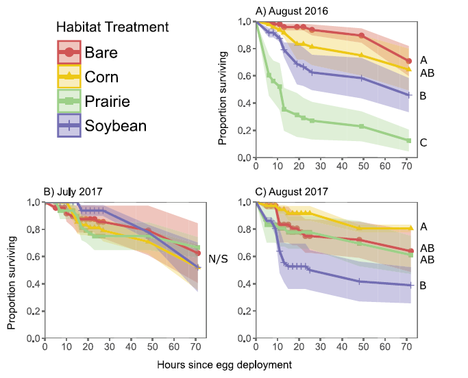 Monarch egg and first-instar survival to 72 h in four habitat treatments for three experimental periods: (A) August 2016; (B) July 2017; (C) August 2017. Points represent arithmetic means of survival across the four experimental blocks, and colored areas are SEM. Grouping letters represent post hoc Holm-adjusted pairwise contrast groupings of estimated marginal means from binomial generalized linear mixed model, α = 0.05. Shaded columns represent nighttime hours from 20:00 to 6:00.